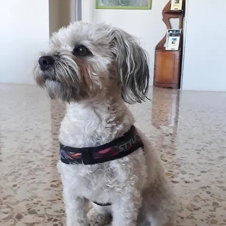 Moreno 게스트하우스 2*