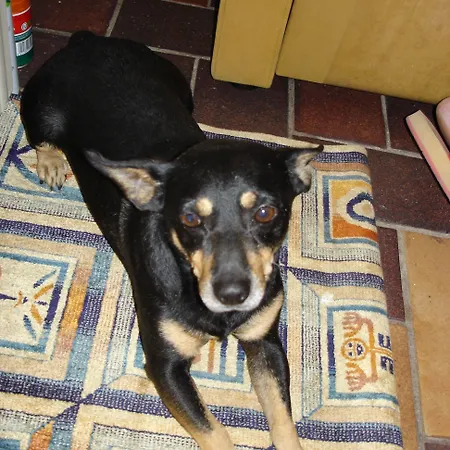 Moreno 게스트하우스